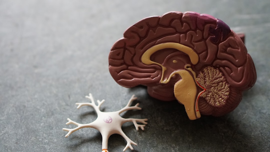 Forståelse af ADHD: En omfattende guide